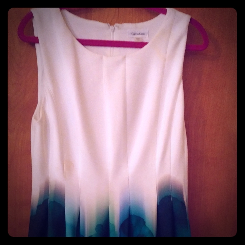 Calvin Klein fit and flare dress.